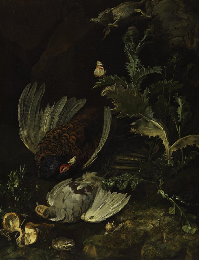 Виллем Янс ван Алст «Натюрморт с битой птицей», 1671 
