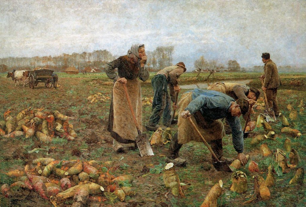 Эмиль Клаус «Сбор урожая свеклы», 1890 © Musée de Deinzeet du pays de la Lys, Deinze