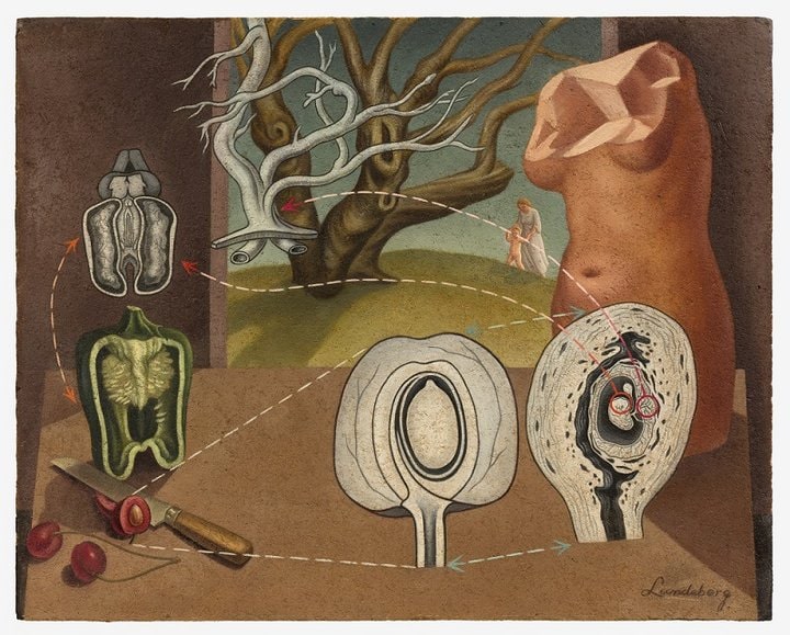 Хелен Люндеберг «Plant and animal analogies», 1933-1934 © Tate