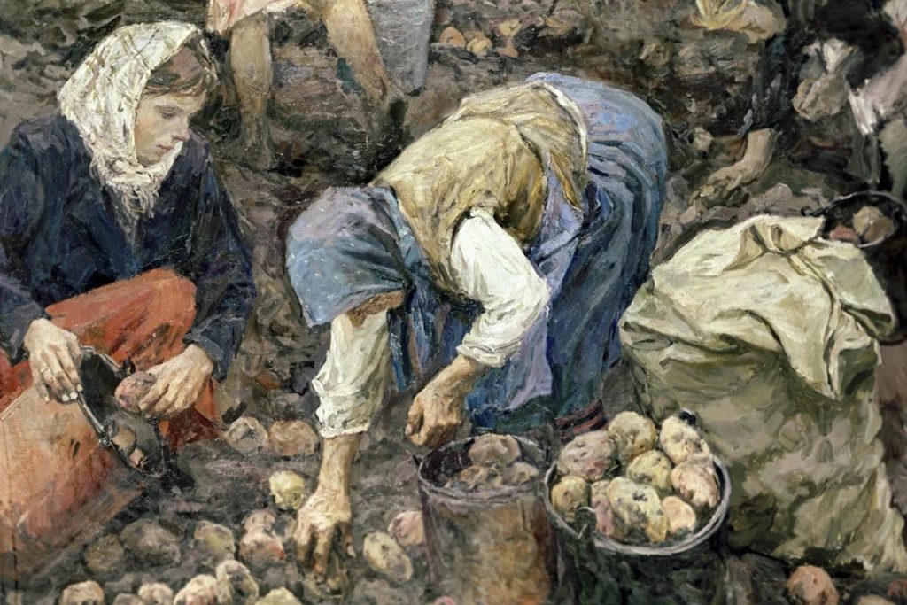 Аркадий Пластов «Сбор картофеля», 1956 © Государственный Русский музей