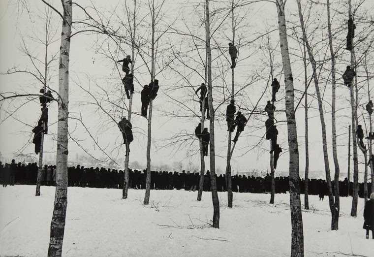 Николай Гнисюк «Грачи прилетели», 1964 © РОСФОТО